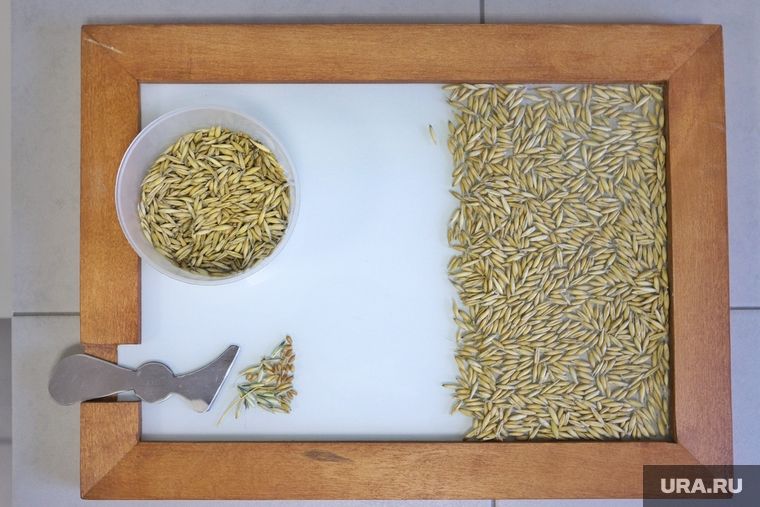 The Times: �������� ������� ������� �� �� ��-�� ����������� �����