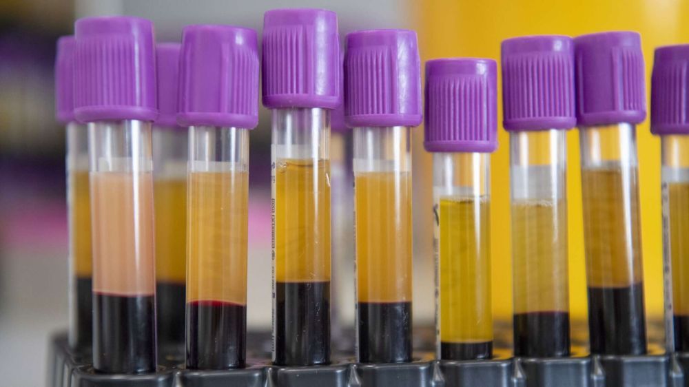 Украина грубо нарушала условия хранения опасных вирусов – МО РФ