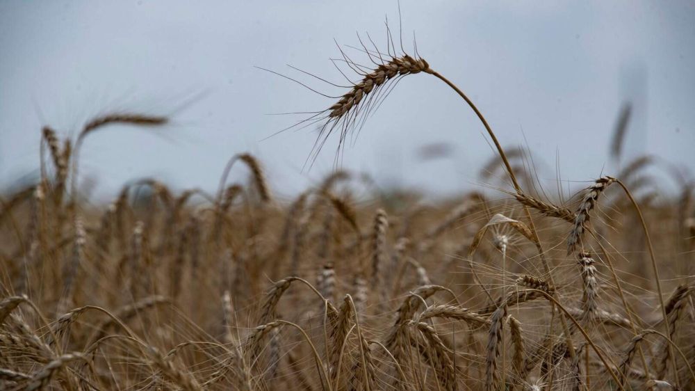 Урок для США и ЕС: европейский эксперт оценил продуктовую сделку