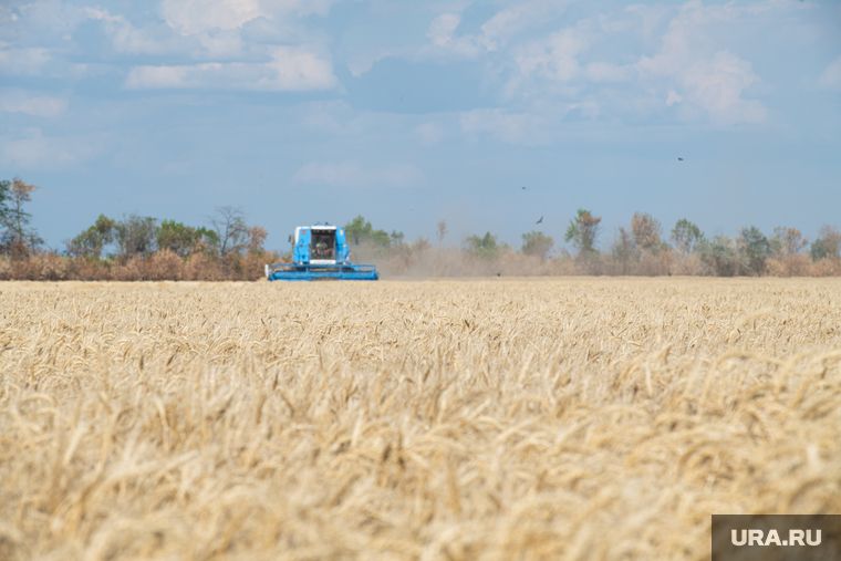 CNN: первую партию украинского зерна отправят из Турции в Сомали