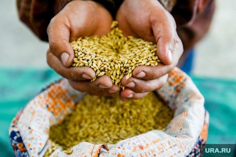 � ������� ����������� �������� ������� ����� � ������ �� ������