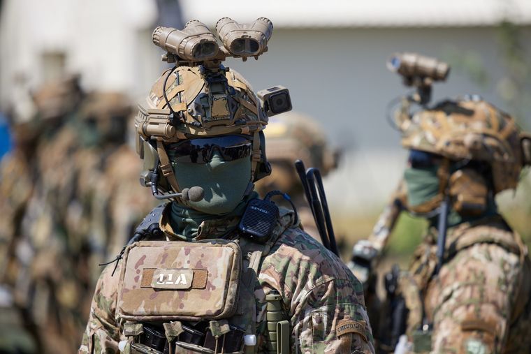 �����: �����������, ���������� ��������� ����, �������� ��������