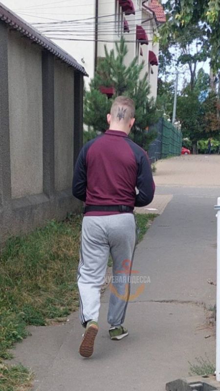 ������ ����������: ����� �� ������, ������� ���� ��� "�����-�����" ������� ������ ������