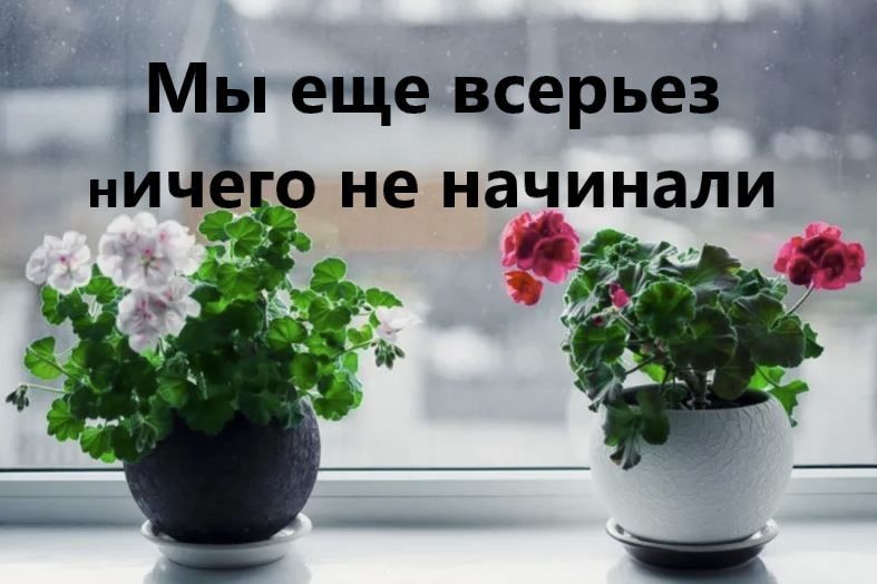 ����� �����: 1. ����������� ���� ���� ���� �������� �������������� ������������� �������� ���� ����� �� ���������� ��������. ��� ����� ������ ���������� ��������� ��� ����������, ������� � ������ ��� ��� �������� ������ �� �������� ������ ����-���������