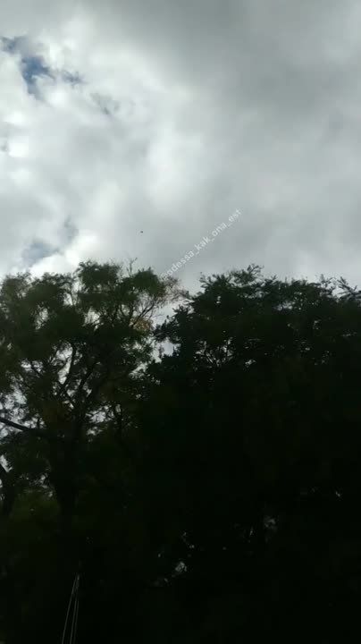 ����� �����: ����-��������� ��� �������