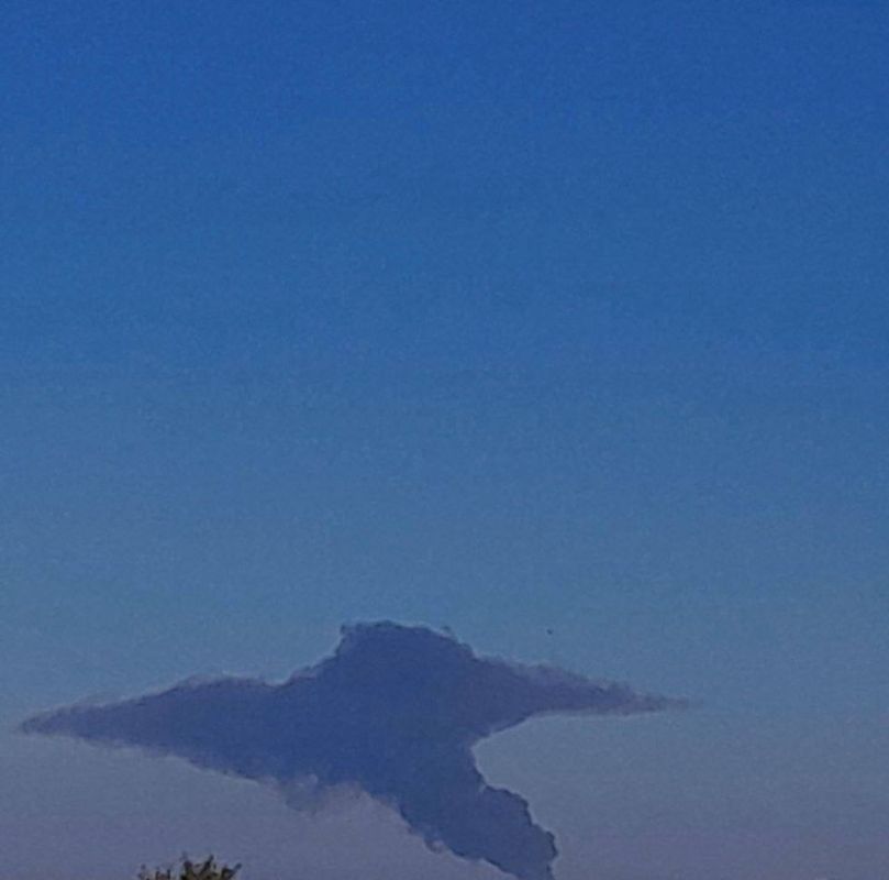 ����� �����: ����� ���� � ���������������� ������� � ������ ������������