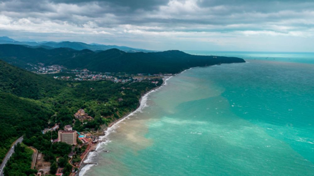 ��� ��������� ������� �� ���� ������ � ������ ����