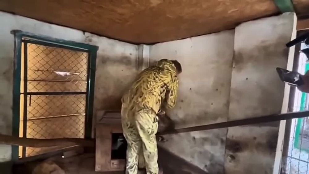 ������������� ������� �������: ������� ����� �������� �����