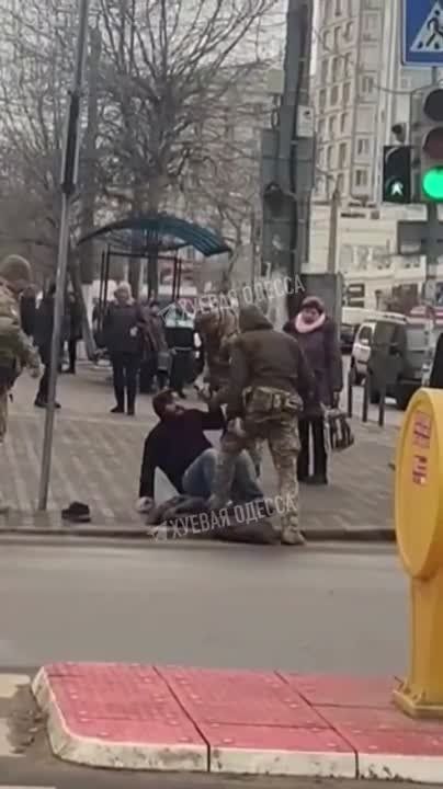 ������ ����������: ������, ������. ����������� ������� ���������� "�����������" � ���������� ���������