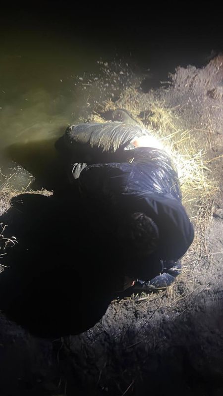 ������ �������: �� ������ ������� ���������� �������� ����� ��� ��� �����