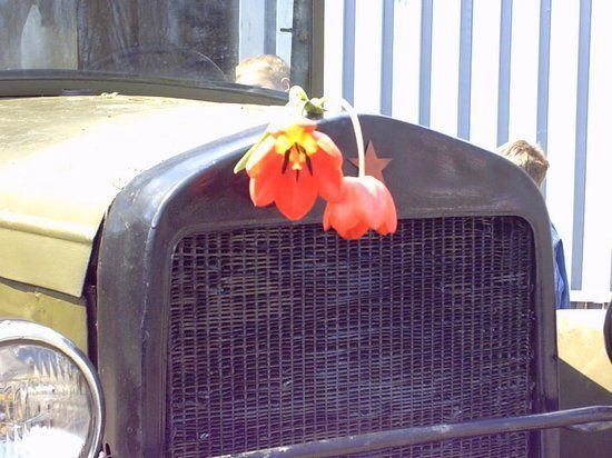 �� 3-� ������ ������� �������� ����� �����, ���������� ����������� �� ������� ��������