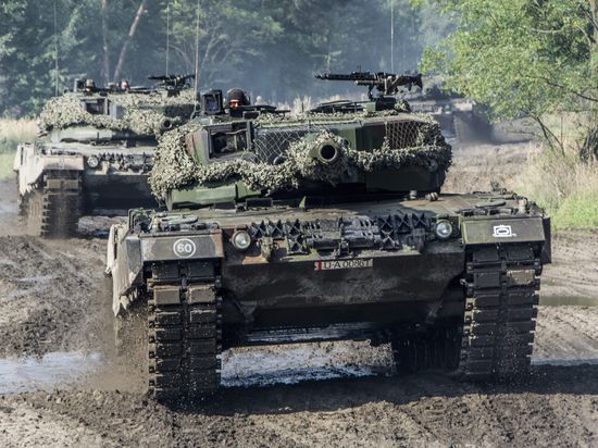  &quot;&quot;:        Leopard  24 -72