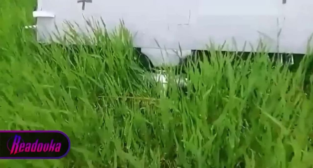 Кадры БПЛА, который подавили российские средства РЭБ — он упал недалеко от села Зерновое в Крыму