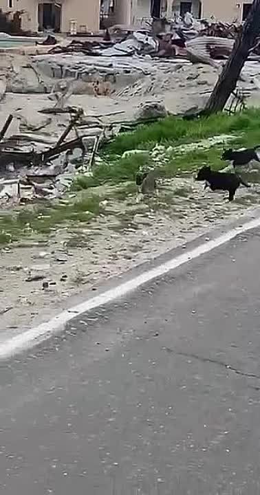 ���� ��������: ��� ��� ������ �������� ������ ��� �������, ��� � 2014-�� ���� ���� ������ �������������� ��� ��������� ��� ���