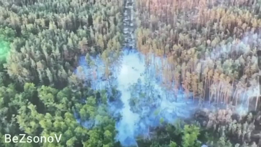 Родион Мирошник: Украина подорвала аммиакопровод Тольятти - Одесса