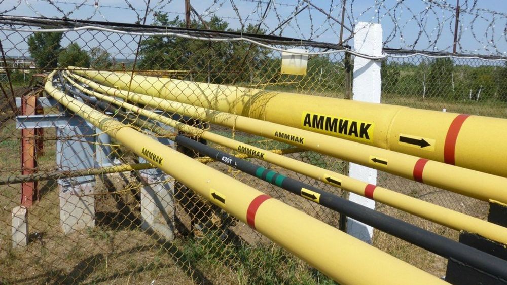 � ��� �� ����������, ��� ������ �������������� ��������-������ �������� �� �������� ������