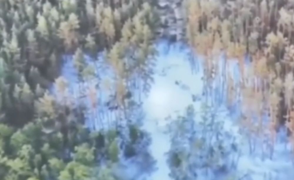 � ��� �������� ������������� ������ ��������� ������������� ����� �������