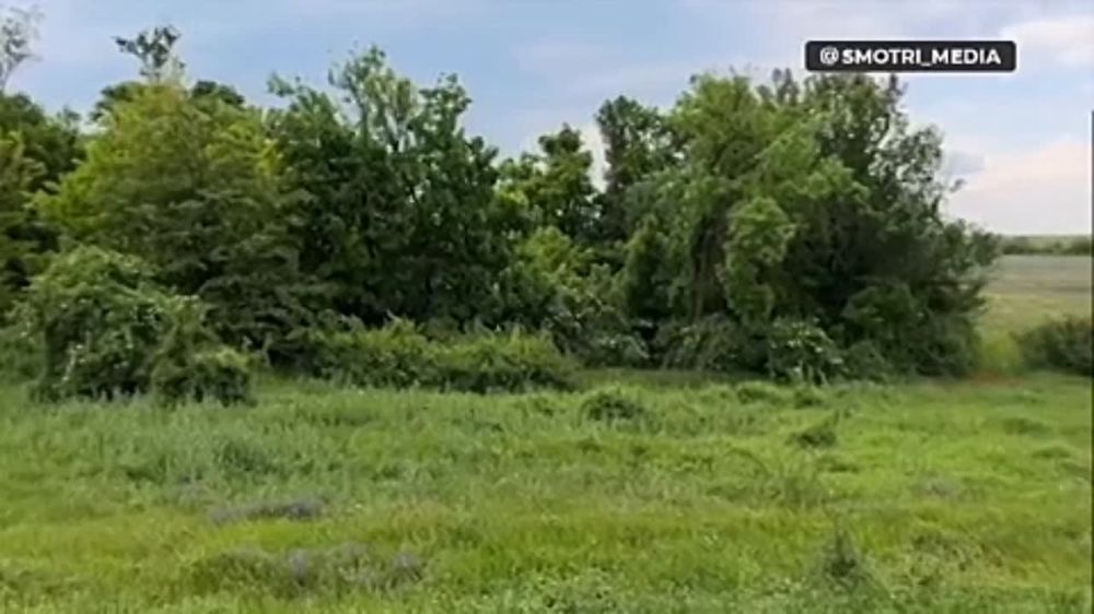 ������� �������: ��� �������� ����� ���������� ���������, ����������� �/� ���� � ����� 23 �������