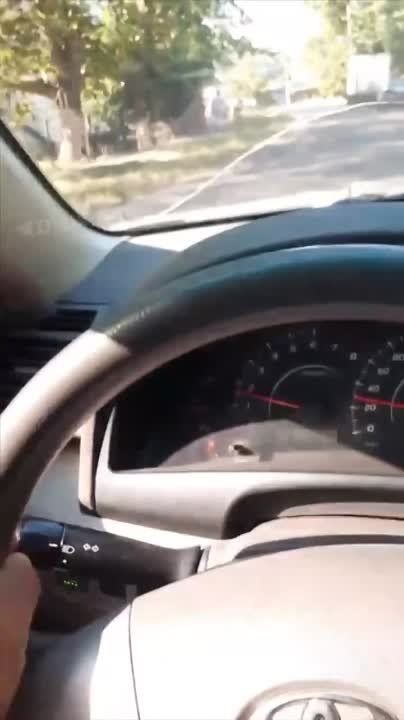 #����� #���������. �������, ��� � �����, ����� �������� � ������ ������ ���� � ������ � ������ ������