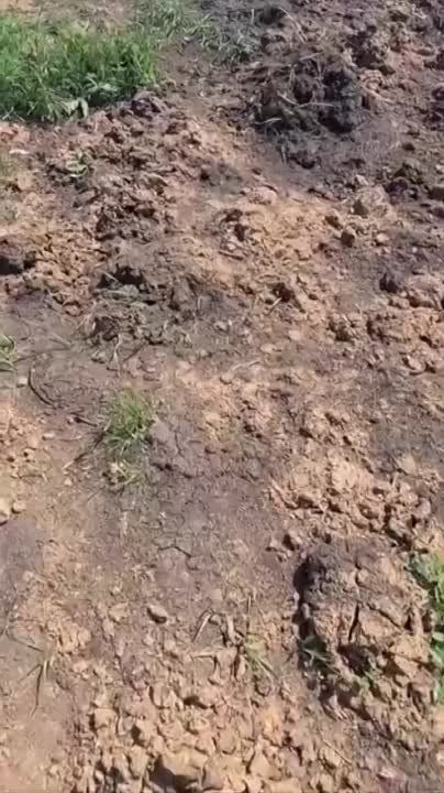 ���� ��������: ����� ����� ���������� ������ � � ��� ���� �-22, ������������������ ������, � ������ � ������ �����-��������������� ������ ������� - ���������