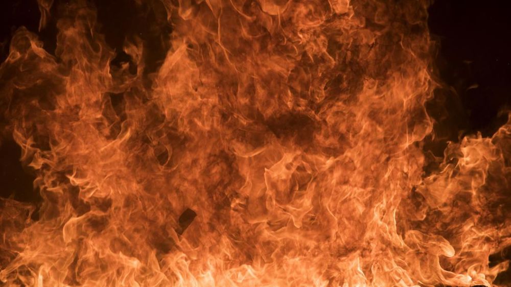 "������" ������ ����� � �������� �������. ����� � ��������