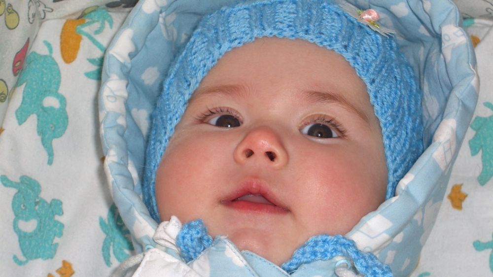 ������� ����� ����� �������� "�������": ������� �������� ������� �����