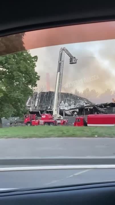 ���� ��������: ������. ���������� ���� ��� ������, ��� ����������� ������ �� �����. ������, ����, ���� ����, ��� ����� ��������