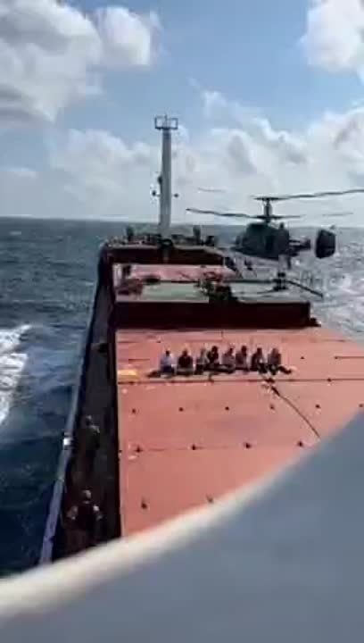 Игорь Димитриев: Что означает проверка сухогруза российским спецназом?