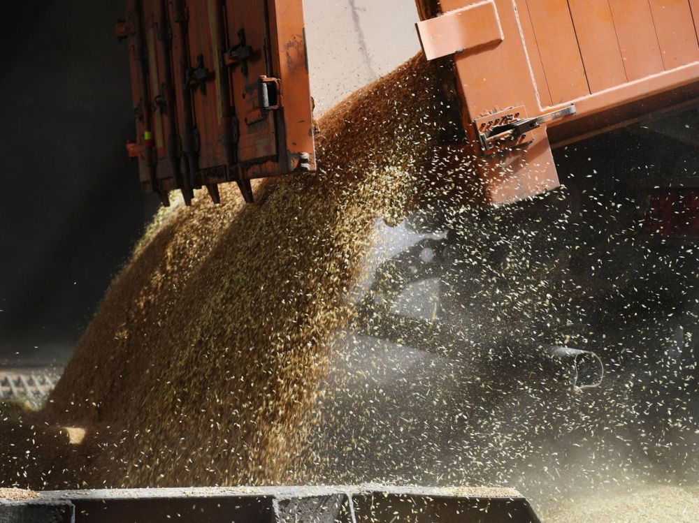 ������������ ����������������� ������ � �������� ����� � ��������� �� ������