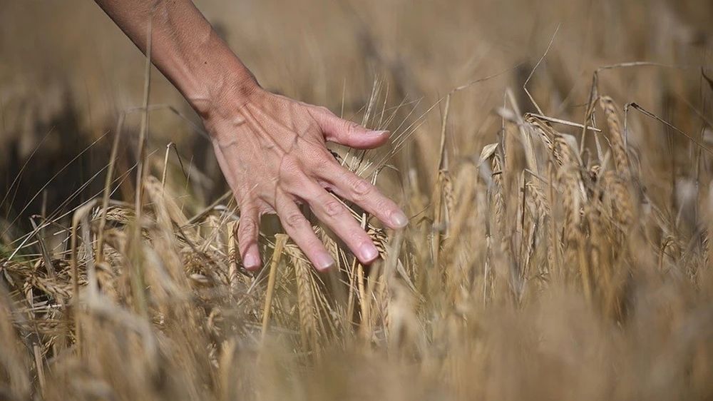 ������� �������� ����� � �������� ����� �������� ��������� �����������