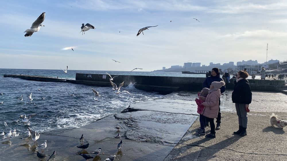 �������� ����� ����� �������: ��� ������ ����������� ������� ����