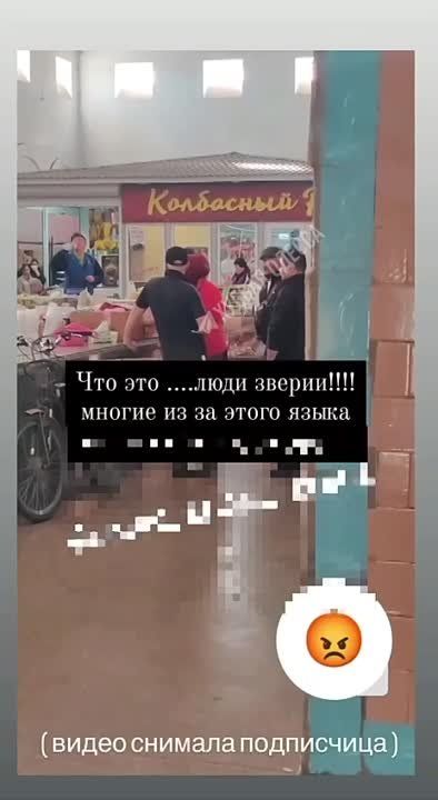  :     ,         ,   