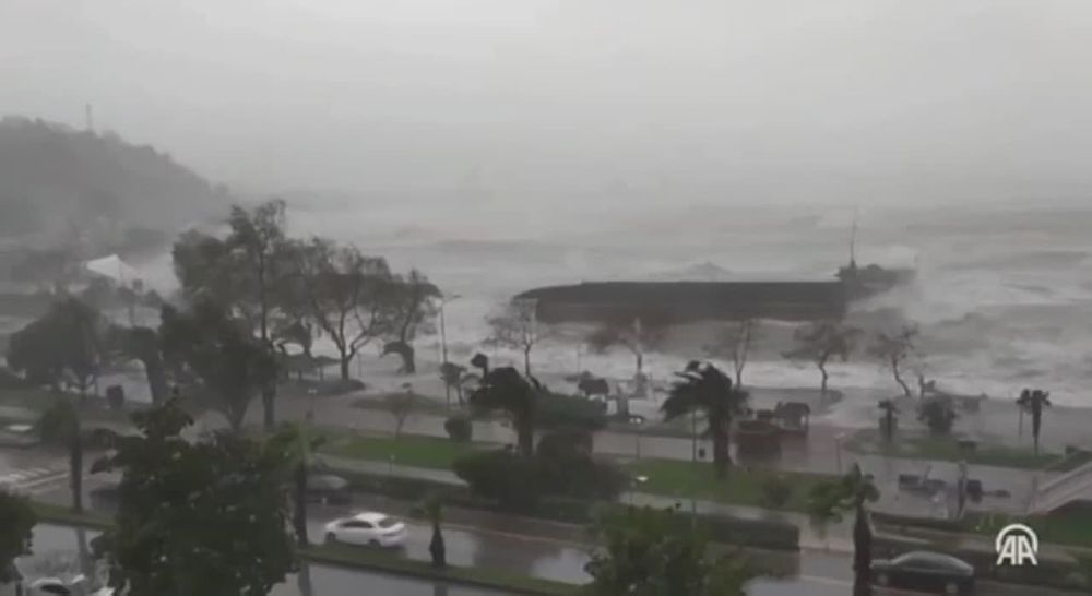 ���� ��������: �������� Pallada ��-�� ������ ���������� ������� � ������� ������