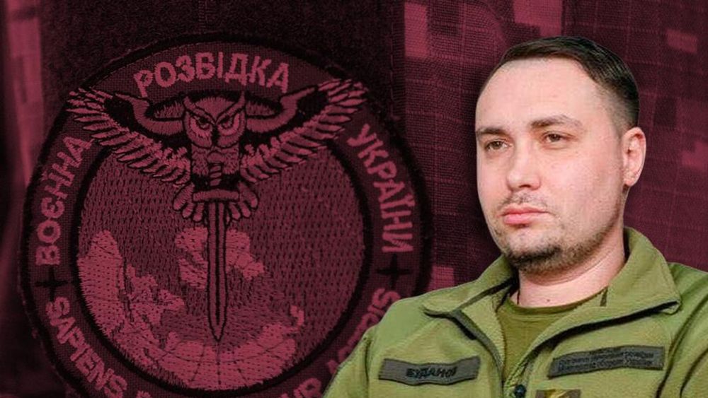 ������ �������, ���������