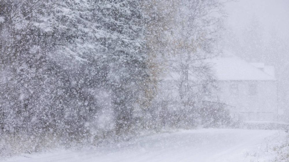 ����� � ���� ��� - ����� � ������������� ������ �������� �� ������