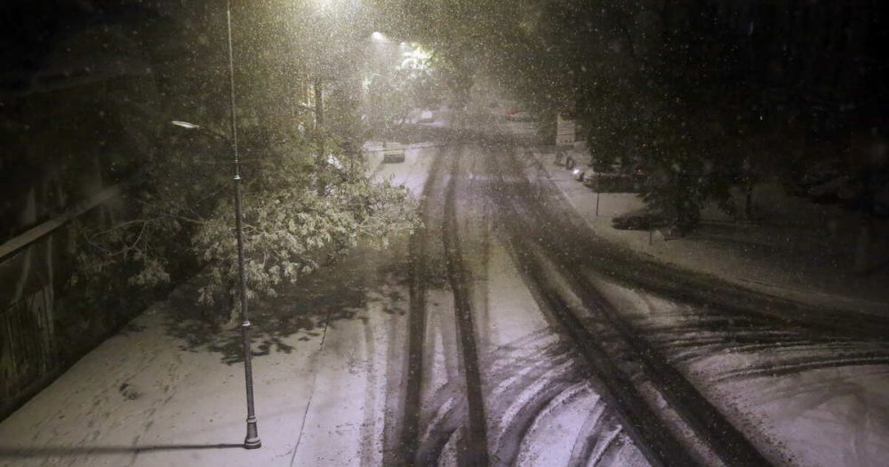 ���-��������� ��� ������� ������� ������ ������ � 2024 ����