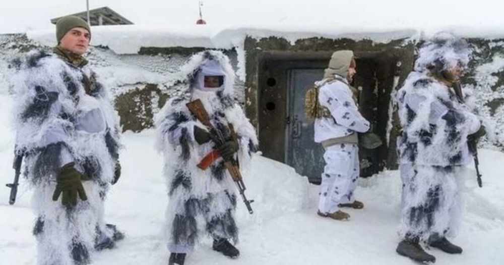 ��������� ������ ������������ ����� ����������, ����� �������� �������