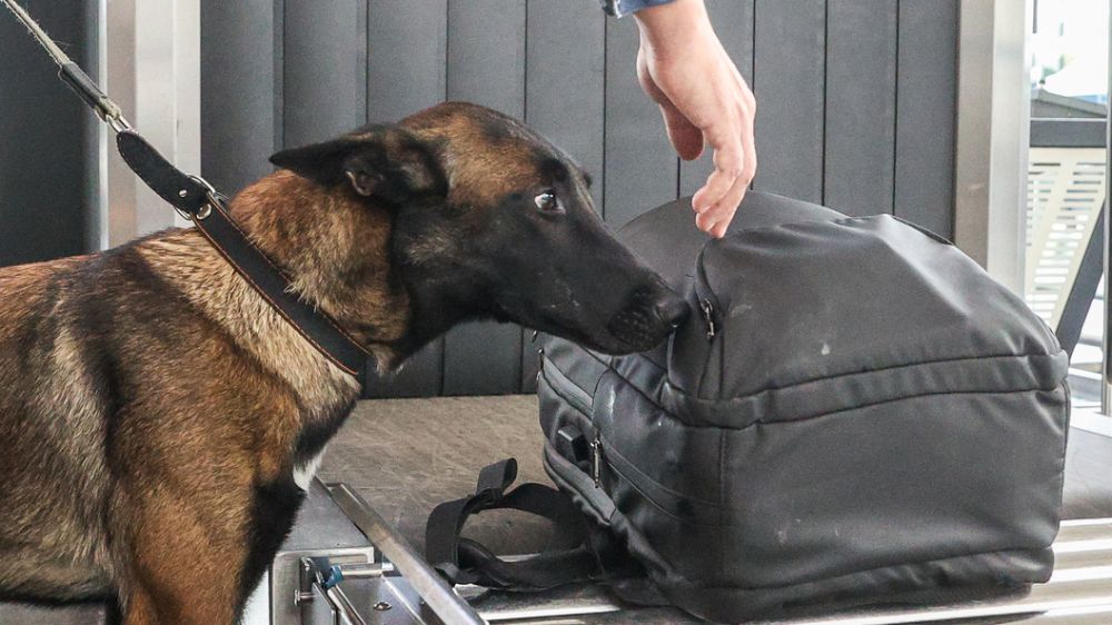 �� ������ � ������� ����� ����������: ��� ��������, ��� ���������, �������