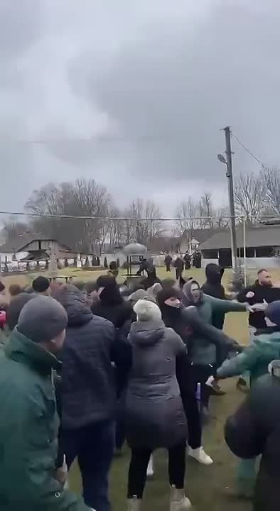 ������ ��������: � �������� ������� ���������-���������� ������ ������ ����