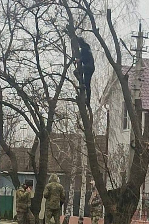 �������� �����: ������. ����� ����� �� ������ �� ���������