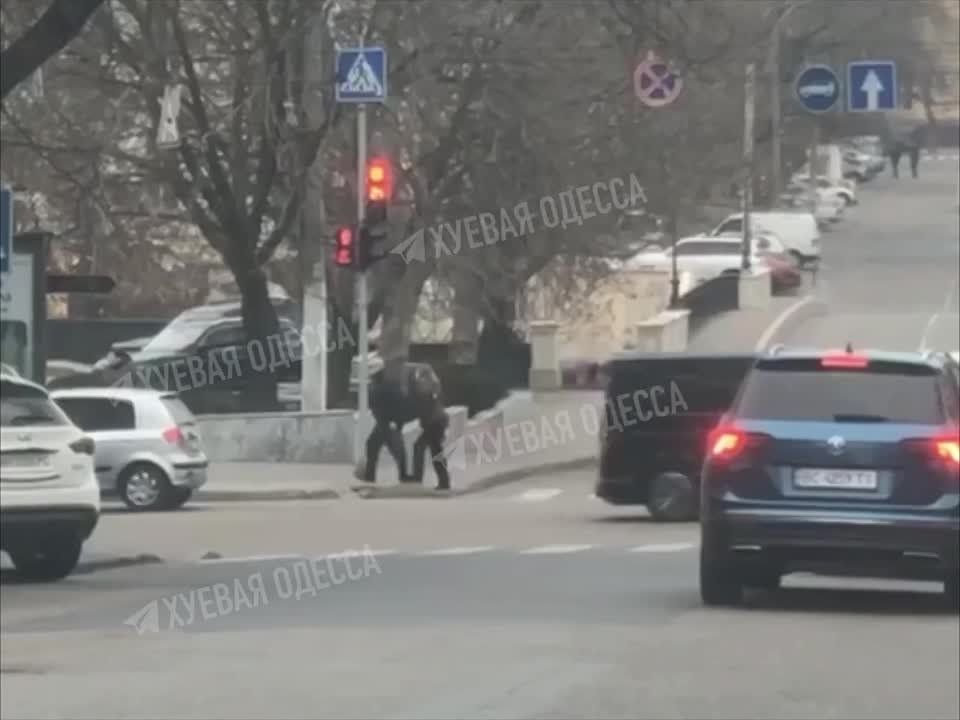 ���� ��������: �� ����� ����� �� ������ � ������ ��� ���������, � ������� ���