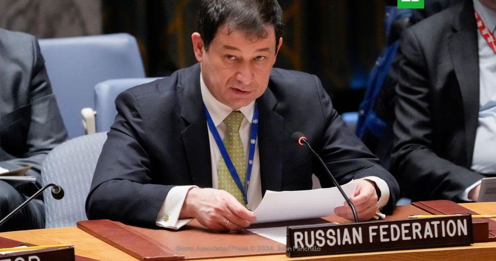 Полянский: Россия не намерена устранять Зеленского