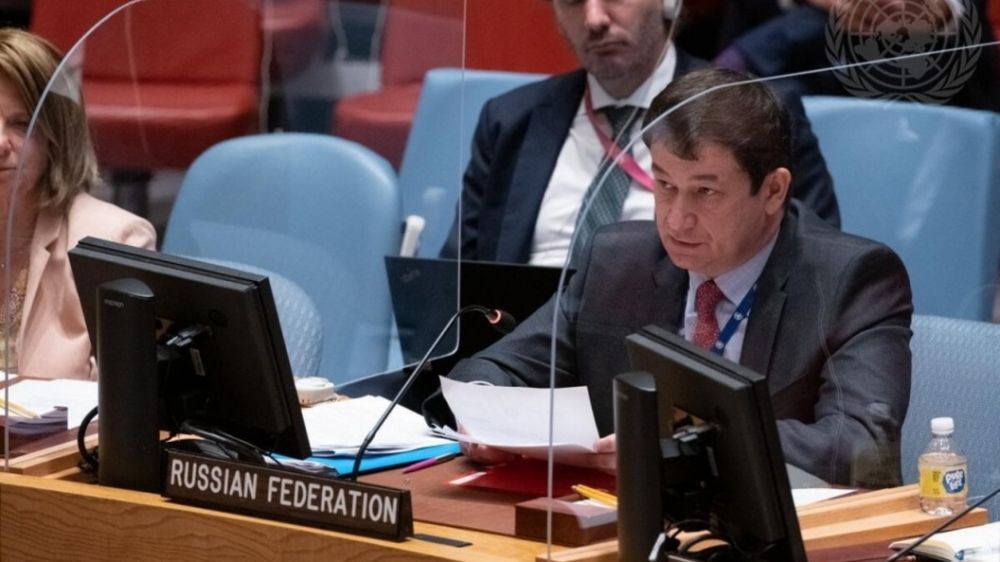 Устранение Зеленского уже не за горами? Русский дипломат дал честный ответ