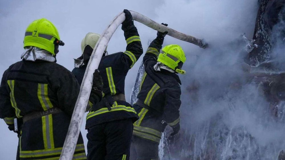 ����� ������� ���������� � �������� ����� 14 �����