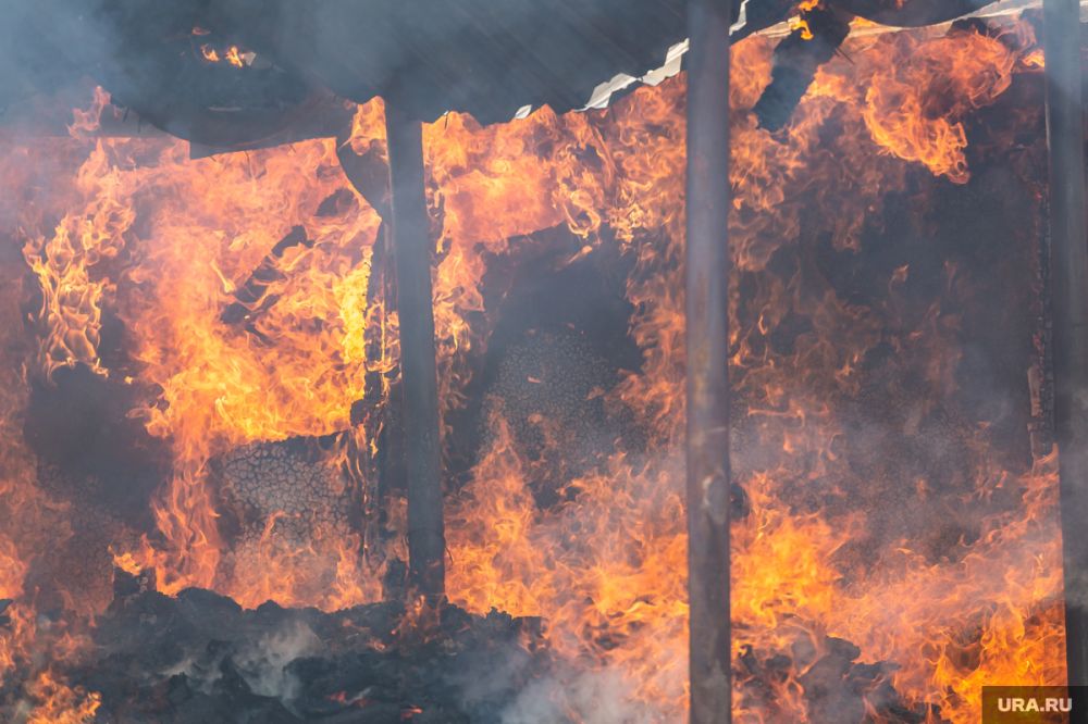 ������ �������� � ��������� �������� �������� � ����������� ������������ ����� ������