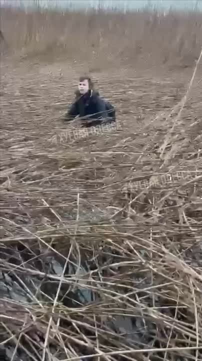 ������ ��������: ����� ������� � ������� �� ������� � ��������, � ������� ��� ��� ��������