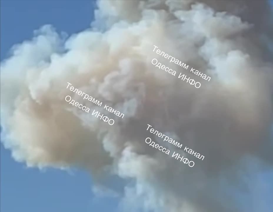 ����� �����: � ������ ����� �������� �������