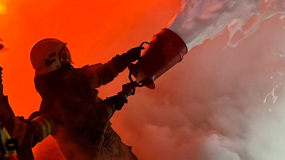 � ������ �������� ������ ����� ����� �������