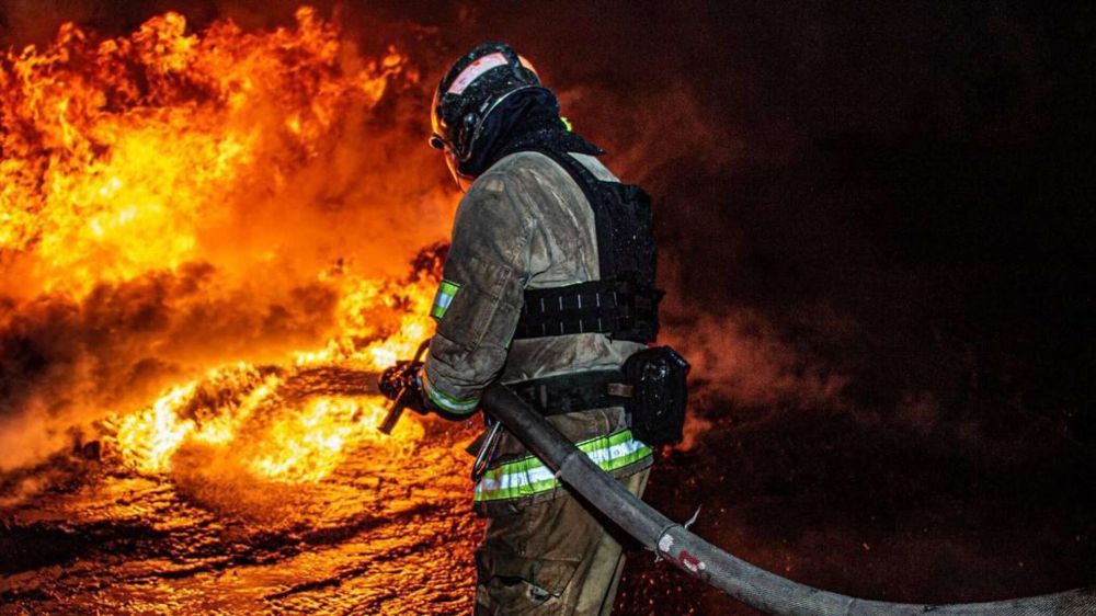 � ������ ��������� ������ �����������-������������� ��������������