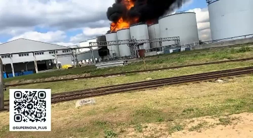 ���� ��������: ���� �����. �������� �������